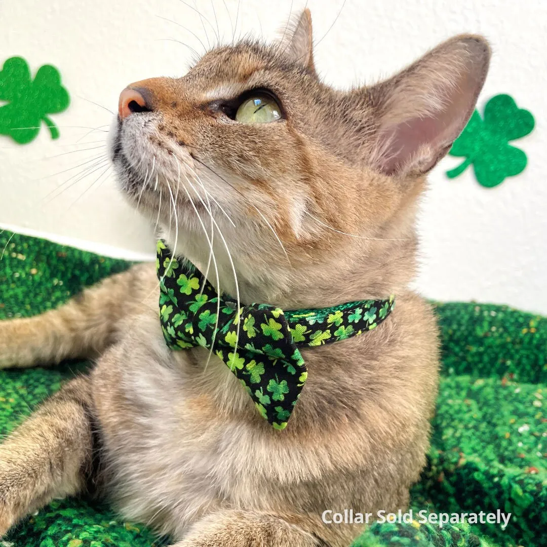 Pet Bow Tie - "Lucky Charmer" - St. Patrick's Day Cat Bow Tie / Irish, Shamrocks / For Cats   Small Dogs (One Size)
