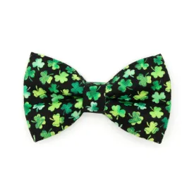 Pet Bow Tie - "Lucky Charmer" - St. Patrick's Day Cat Bow Tie / Irish, Shamrocks / For Cats   Small Dogs (One Size)