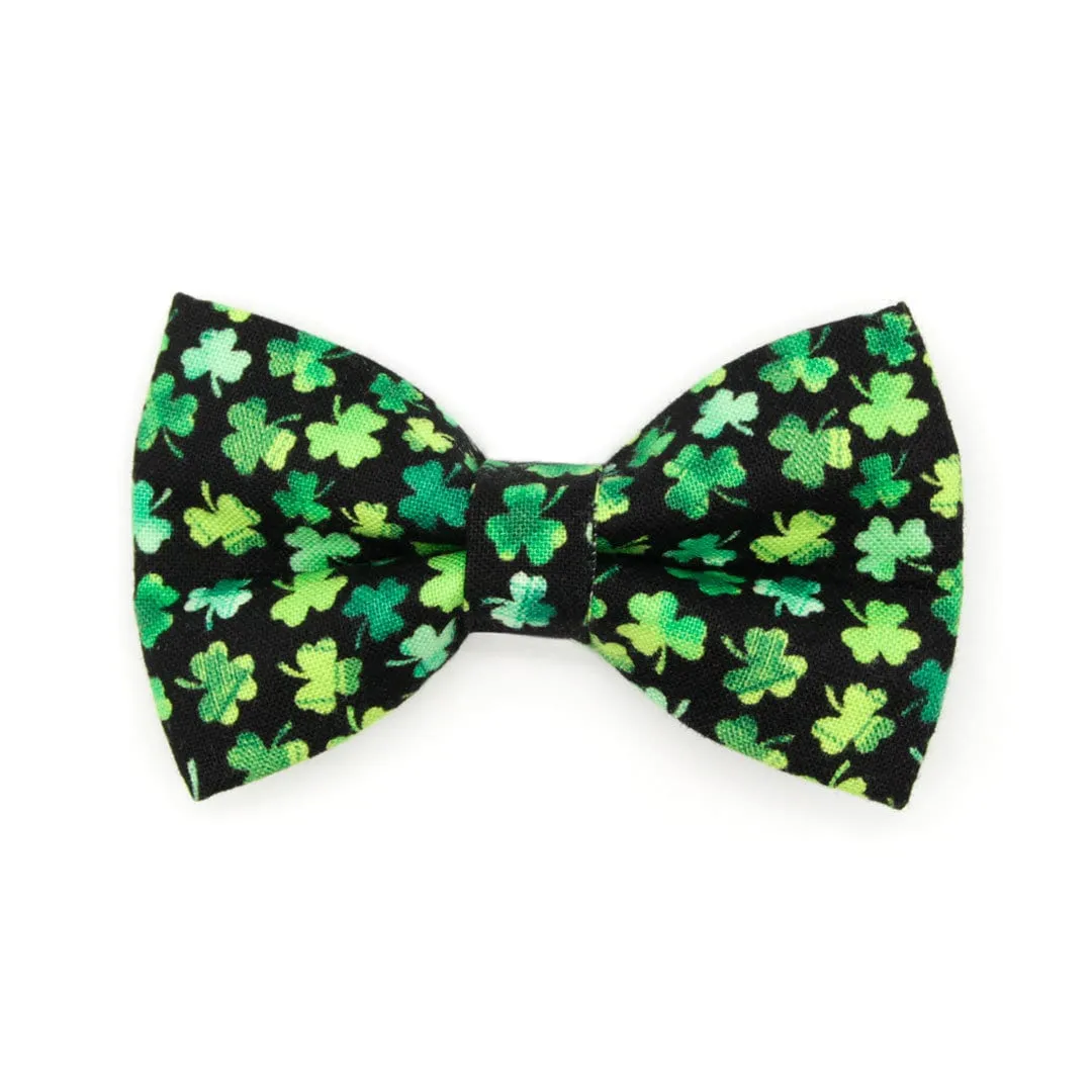 Pet Bow Tie - "Lucky Charmer" - St. Patrick's Day Cat Bow Tie / Irish, Shamrocks / For Cats   Small Dogs (One Size)
