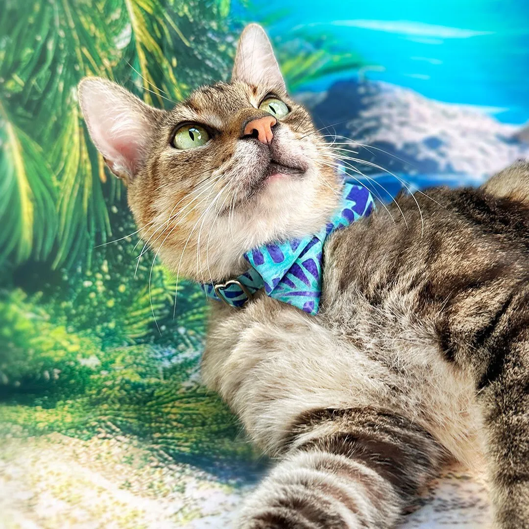 Tropical Cat Bow Tie - "Blue Lagoon" - Blue Bow Tie for Cat / Summer, Beach, Hawaiian, Tiki, Shark, Cool / Cat   Small Dog